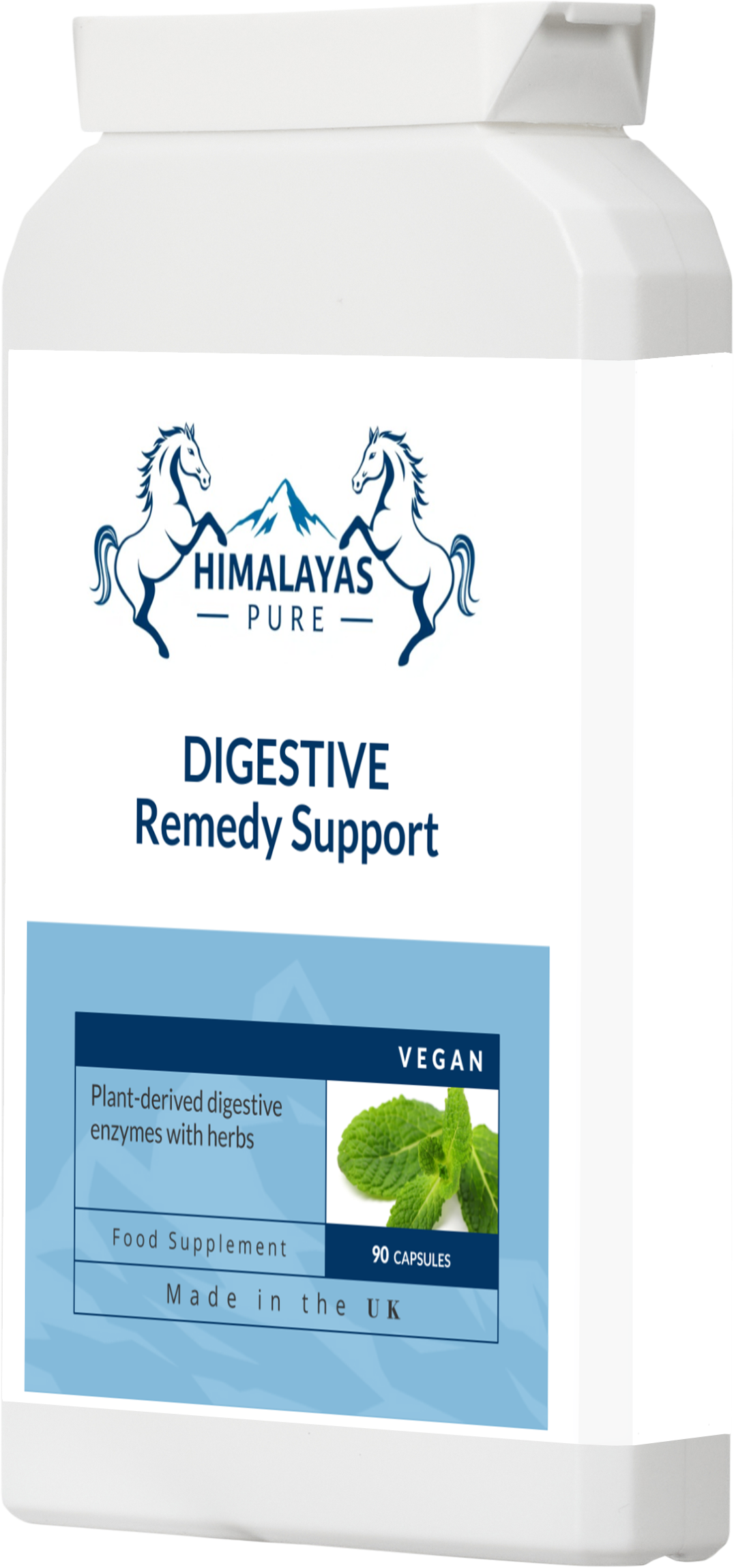 DIGESTIVE Remedy Support