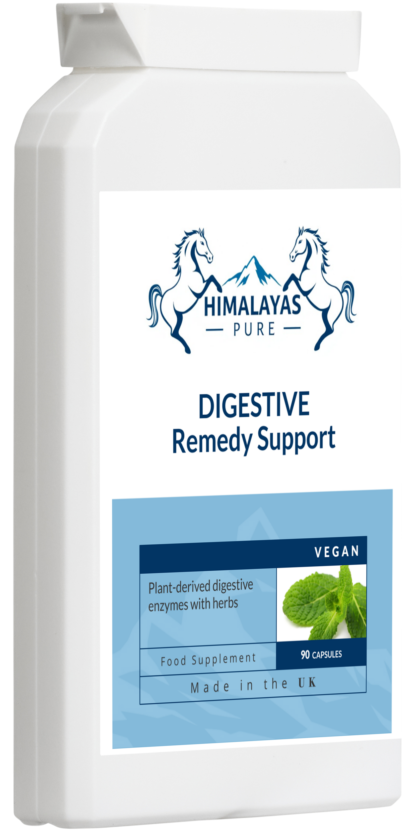 DIGESTIVE Remedy Support