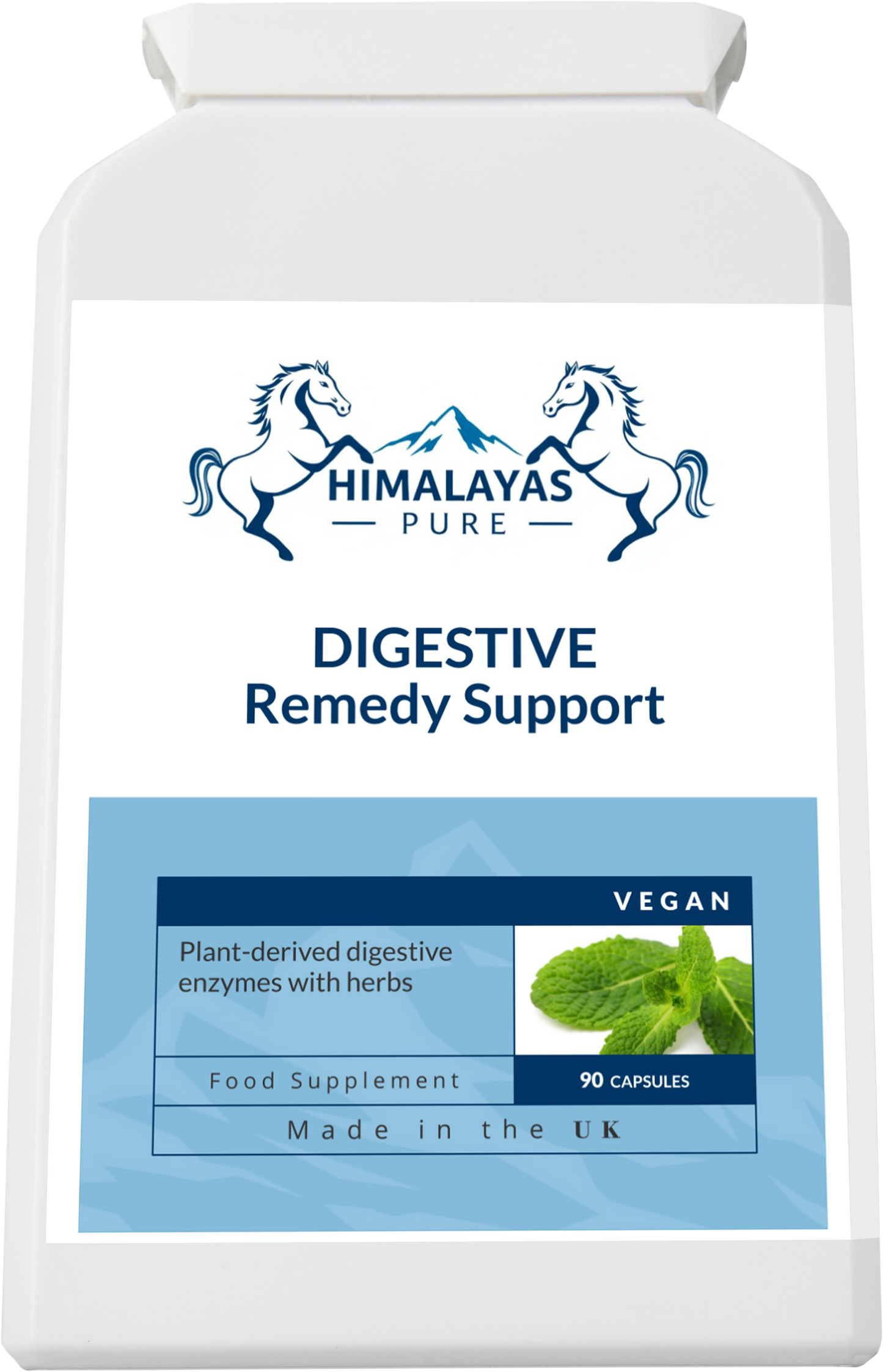 DIGESTIVE Remedy Support