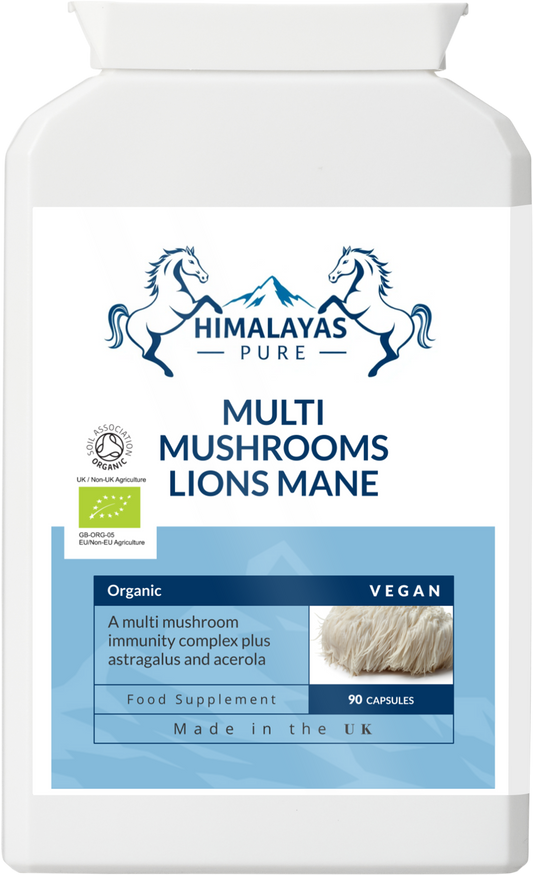 MULTI MUSHROOMS LIONS MANE