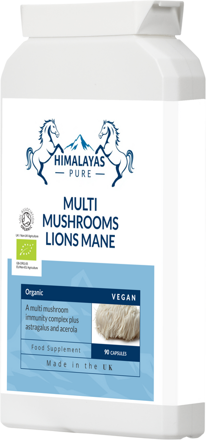 MULTI MUSHROOMS LIONS MANE