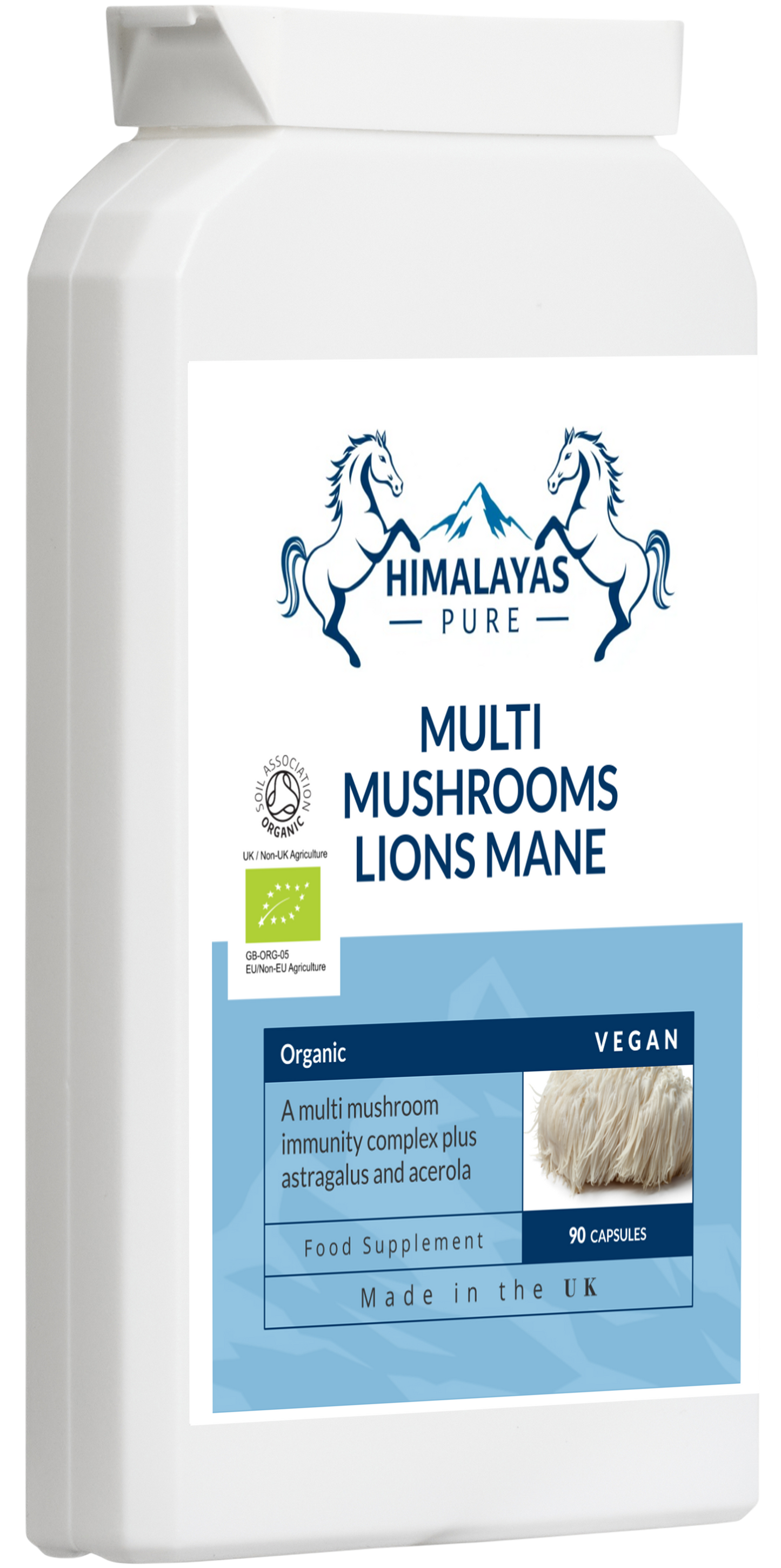 MULTI MUSHROOMS LIONS MANE
