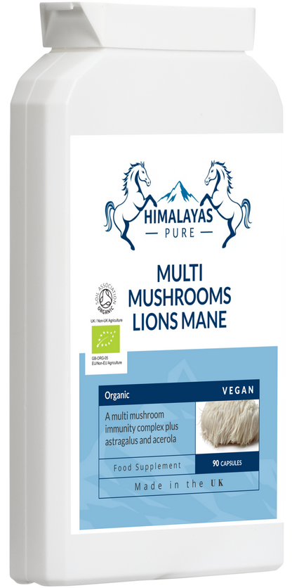 MULTI MUSHROOMS LIONS MANE