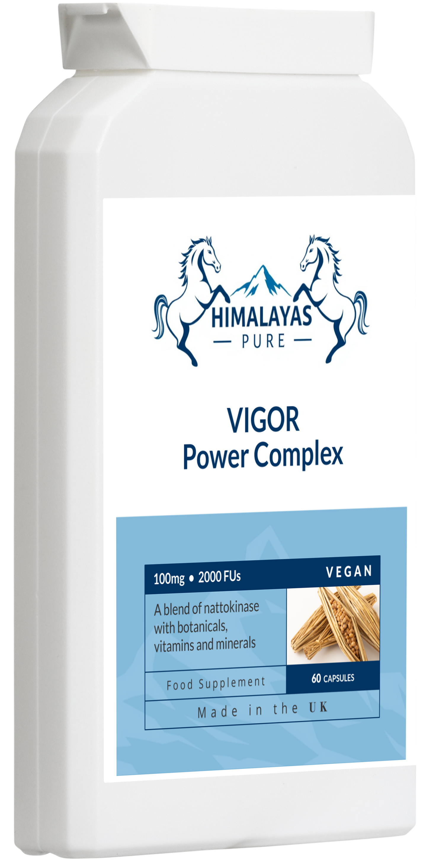 VIGOR Power Complex