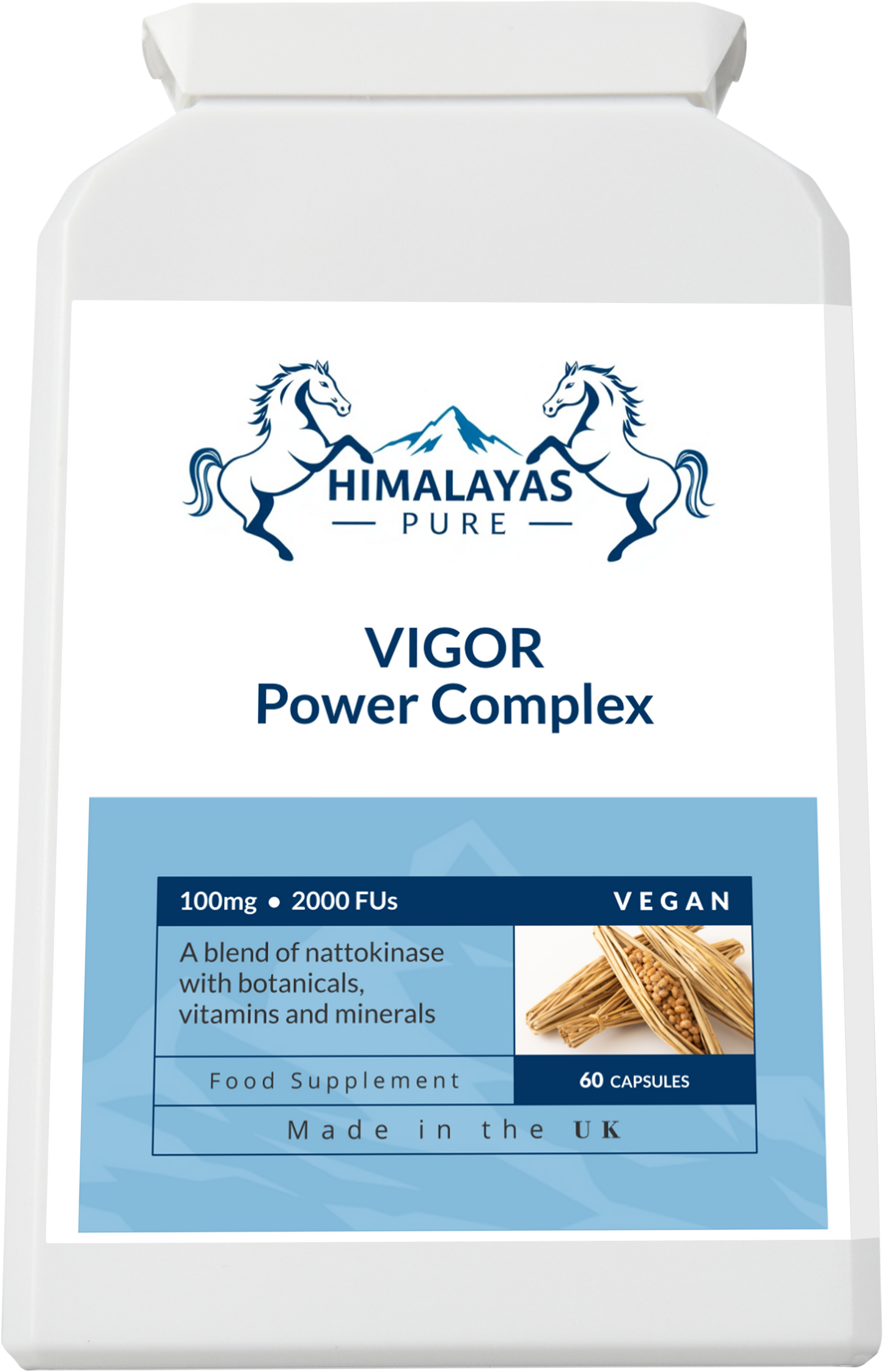 VIGOR Power Complex