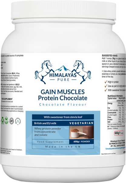 GAIN MUSCLES Protein Chocolate