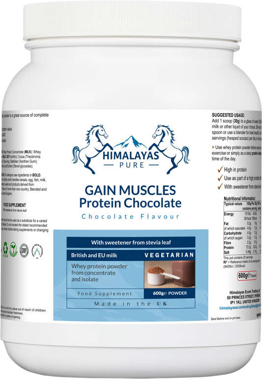 GAIN MUSCLES Protein Chocolate