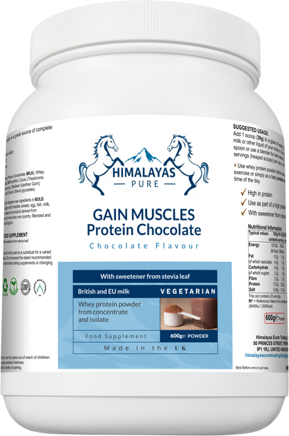 GAIN MUSCLES Protein Chocolate