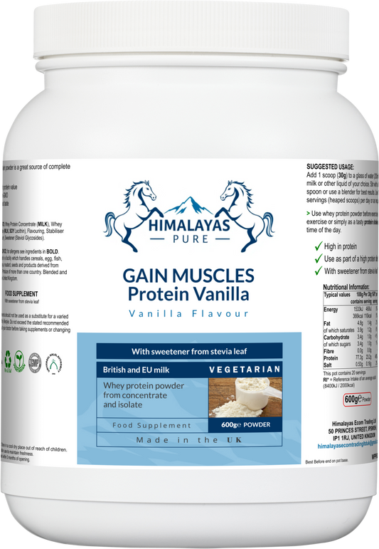 GAIN MUSCLES Protein Vanilla