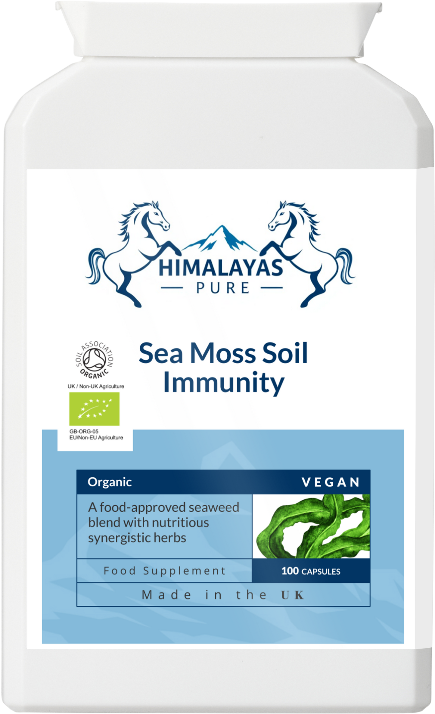 Sea Moss Soil  Immunity