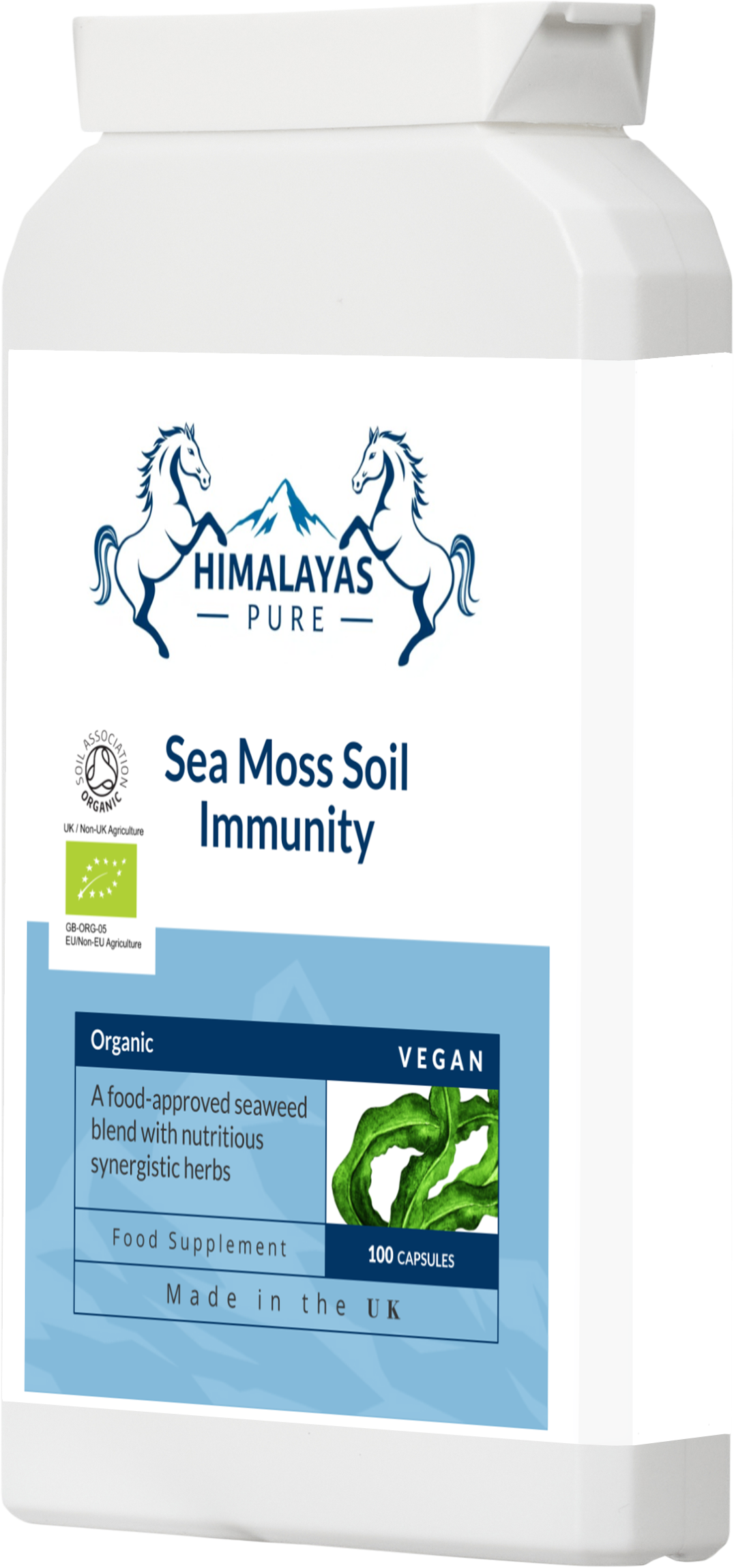 Sea Moss Soil  Immunity