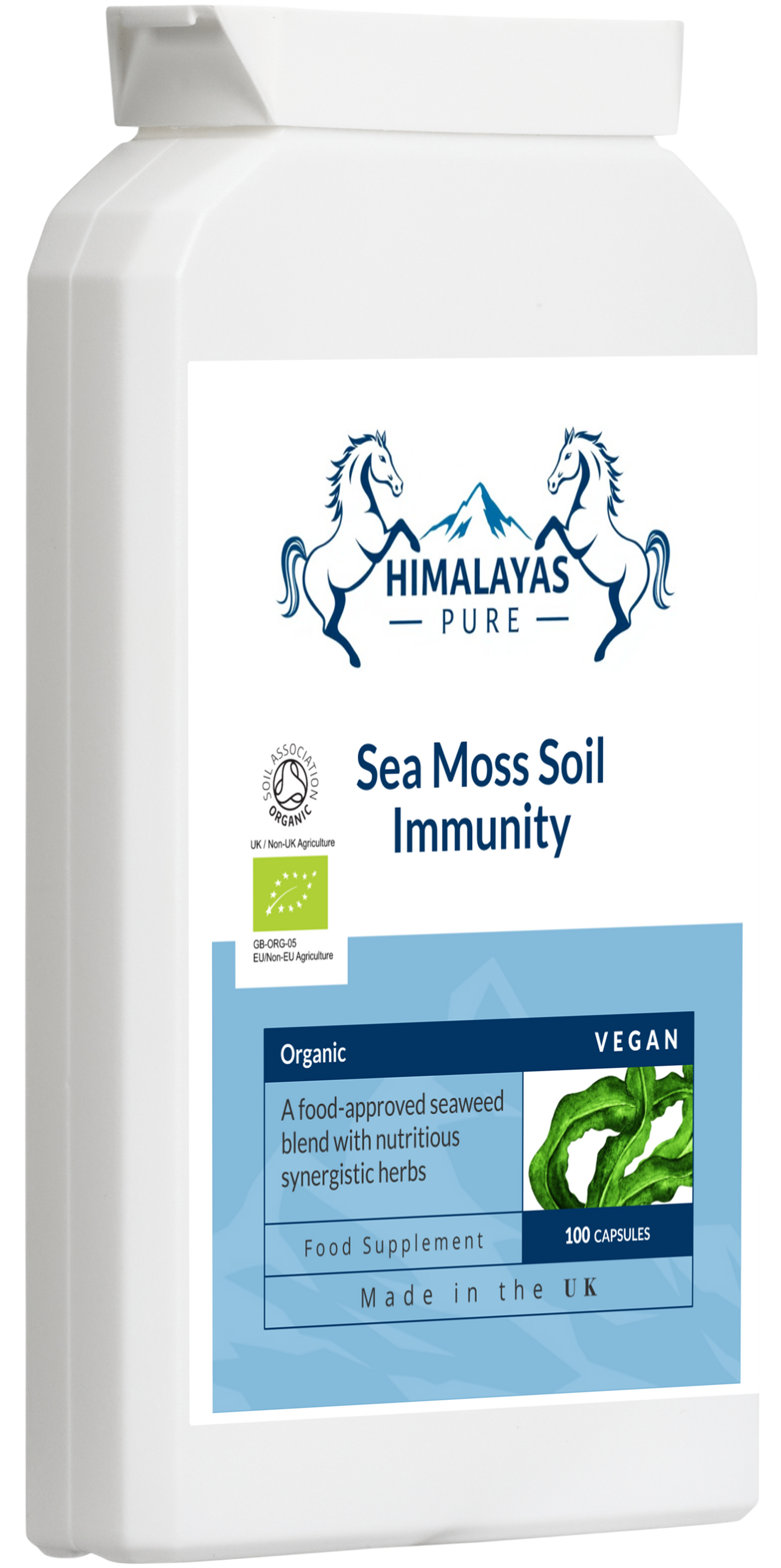 Sea Moss Soil  Immunity