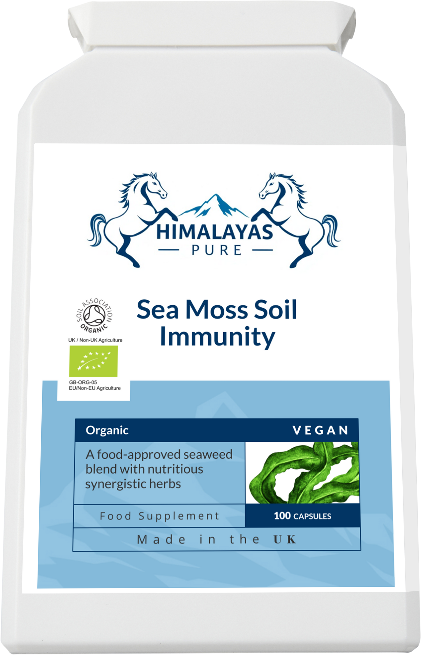 Sea Moss Soil  Immunity