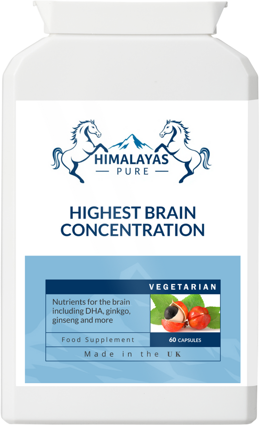 HIGHEST BRAIN CONCENTRATION