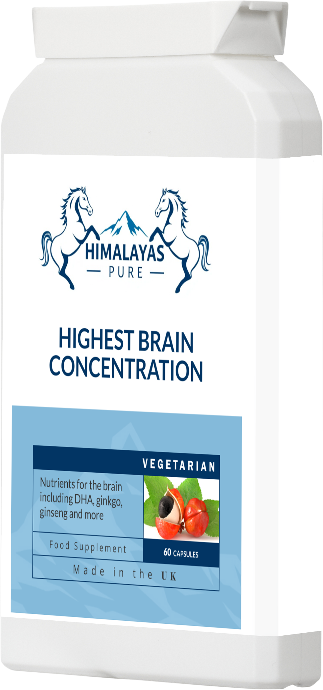 HIGHEST BRAIN CONCENTRATION