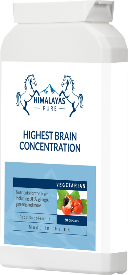 HIGHEST BRAIN CONCENTRATION