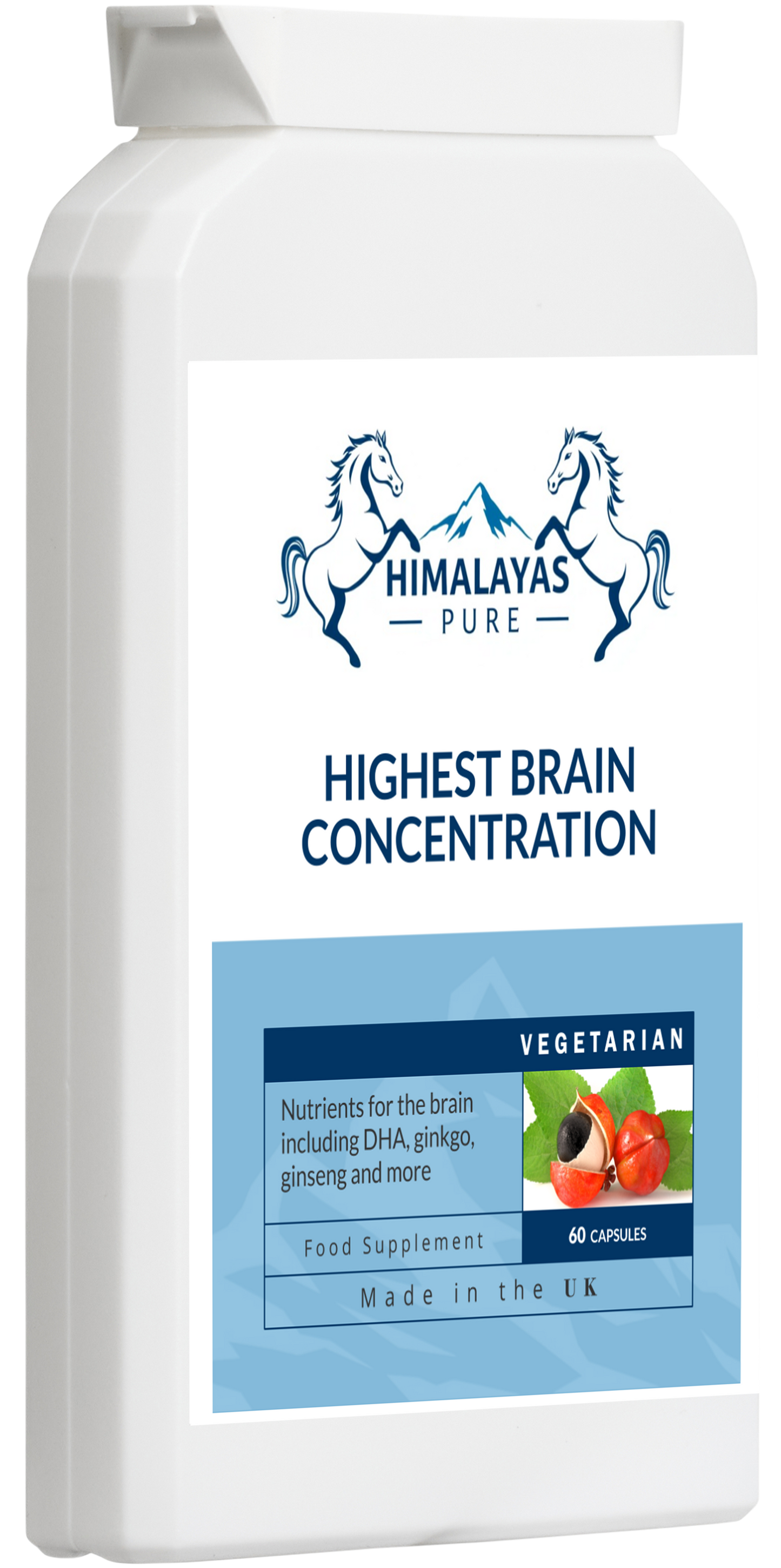 HIGHEST BRAIN CONCENTRATION