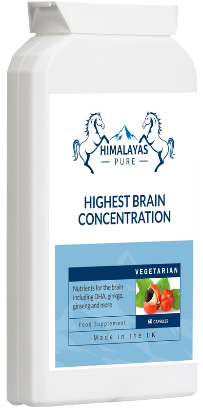 HIGHEST BRAIN CONCENTRATION