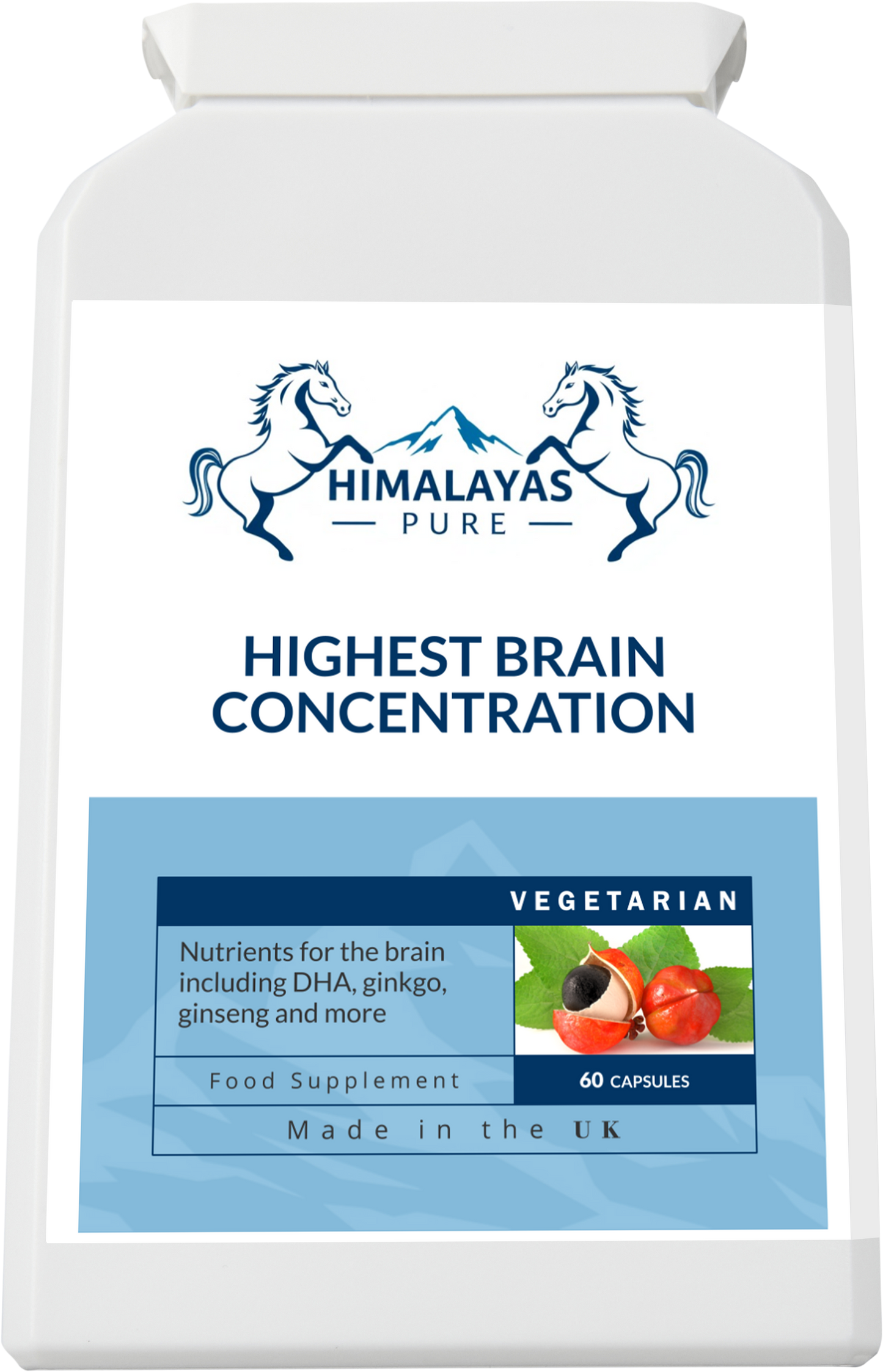 HIGHEST BRAIN CONCENTRATION