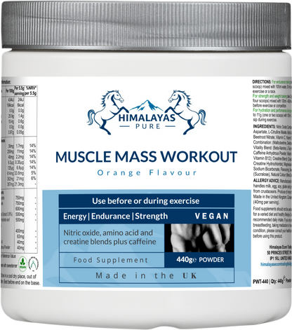 MUSCLE MASS WORKOUT