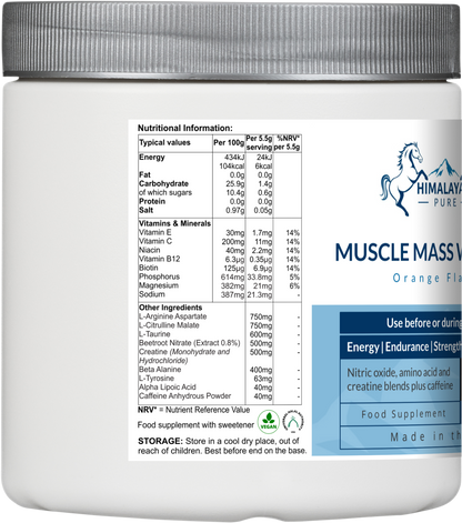 MUSCLE MASS WORKOUT