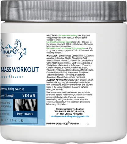 MUSCLE MASS WORKOUT