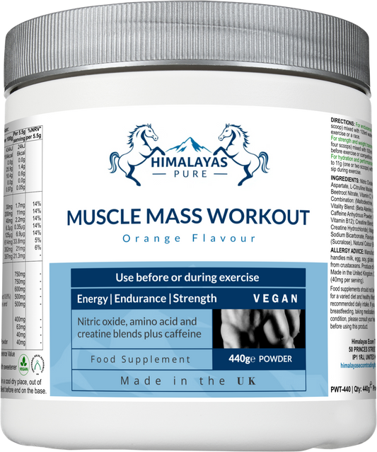 MUSCLE MASS WORKOUT